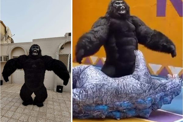 Godzilla - Dinosaur - Gorilla - White bear - Big Panda