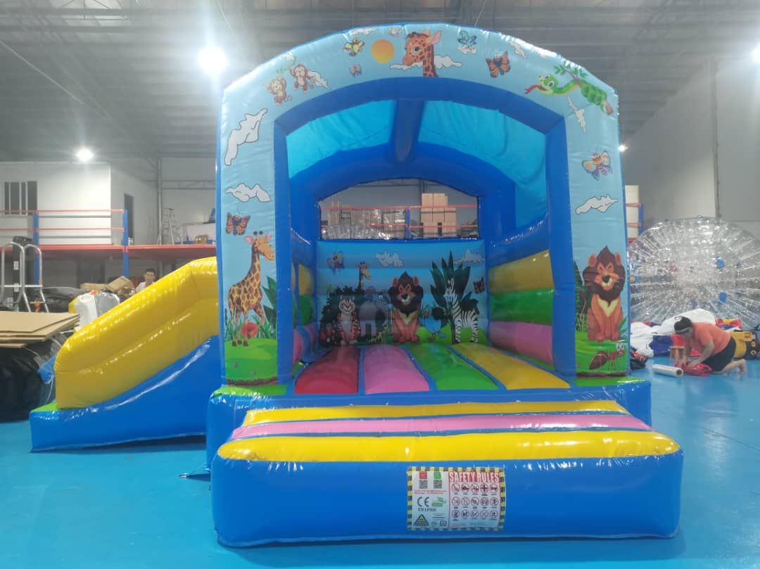 Elsa Princess Bouncy & Slide