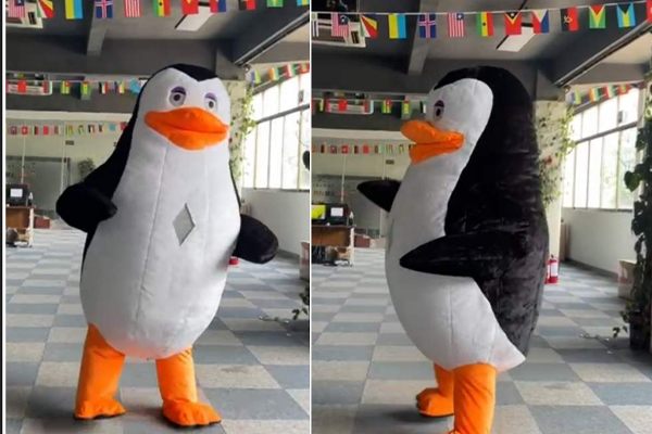 Penguin - Kung Fu Panda - White and Black Panda